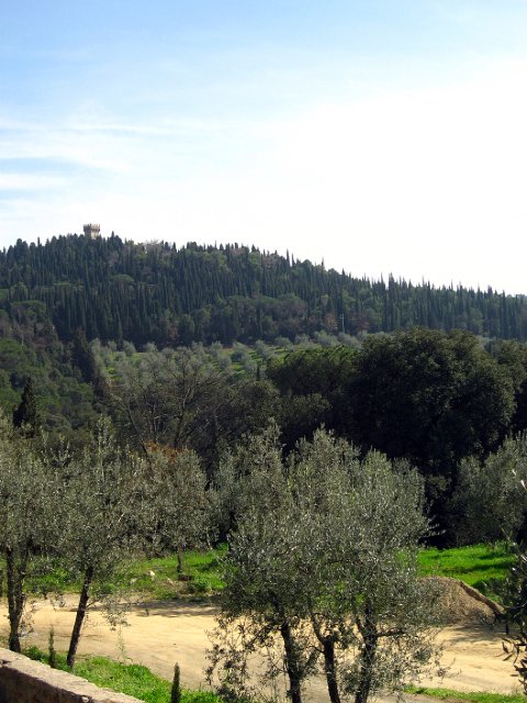 Fiesole - Parco di Montececeri-37.JPG